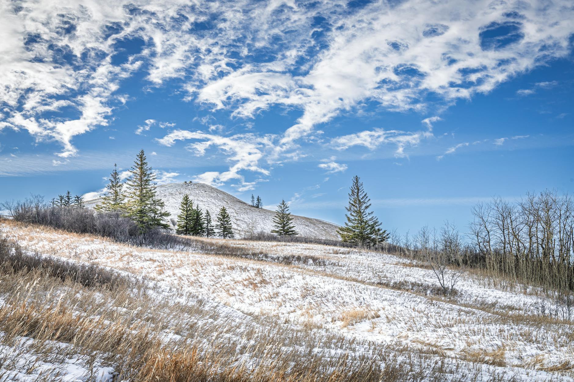 Beautiful winter landscape of rolling hills and spruce trees in Saskatchewan, Canada.