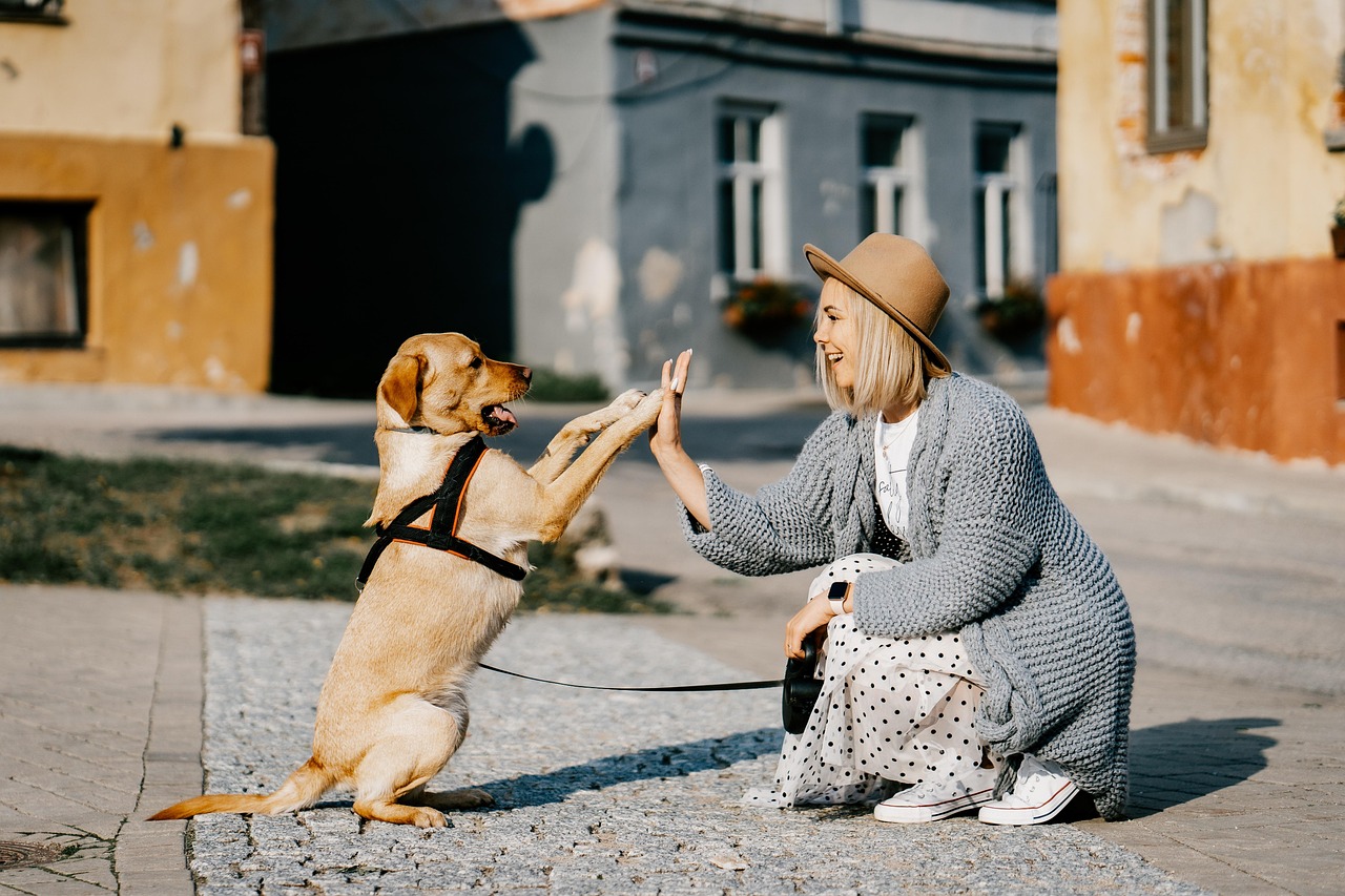 girl dog pet